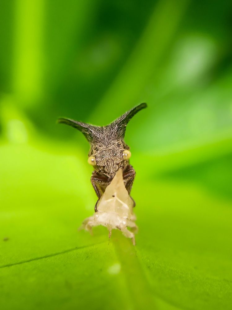 Photograph by Vishnu SR