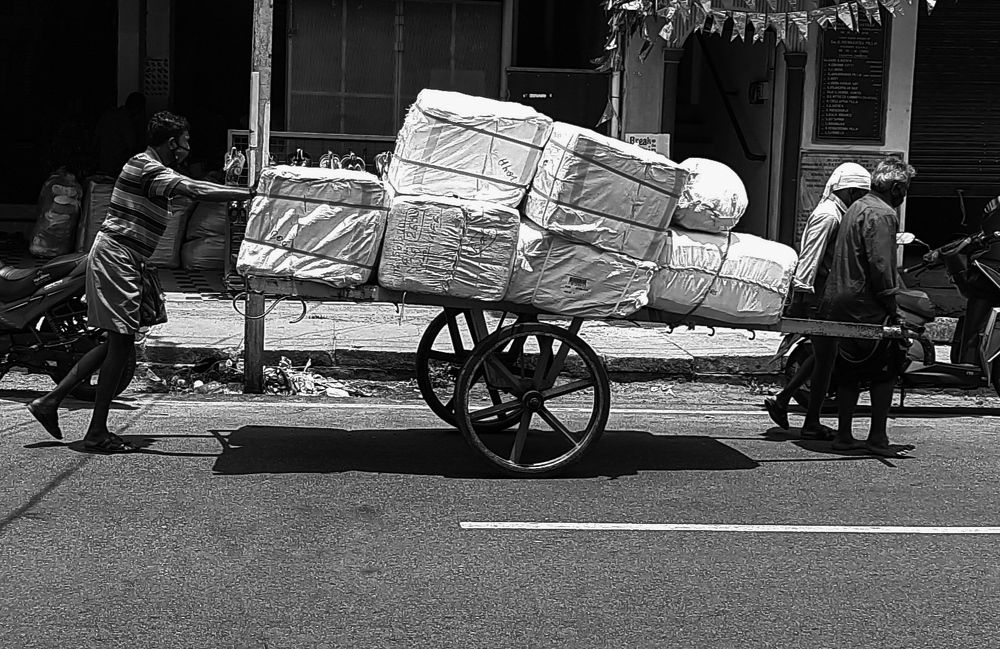 Photograph by Vishnu SR