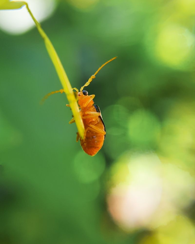 Photograph by Vishnu SR