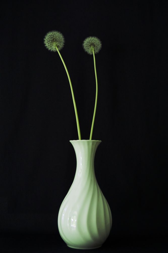 Photograph by Natalie Liedtke