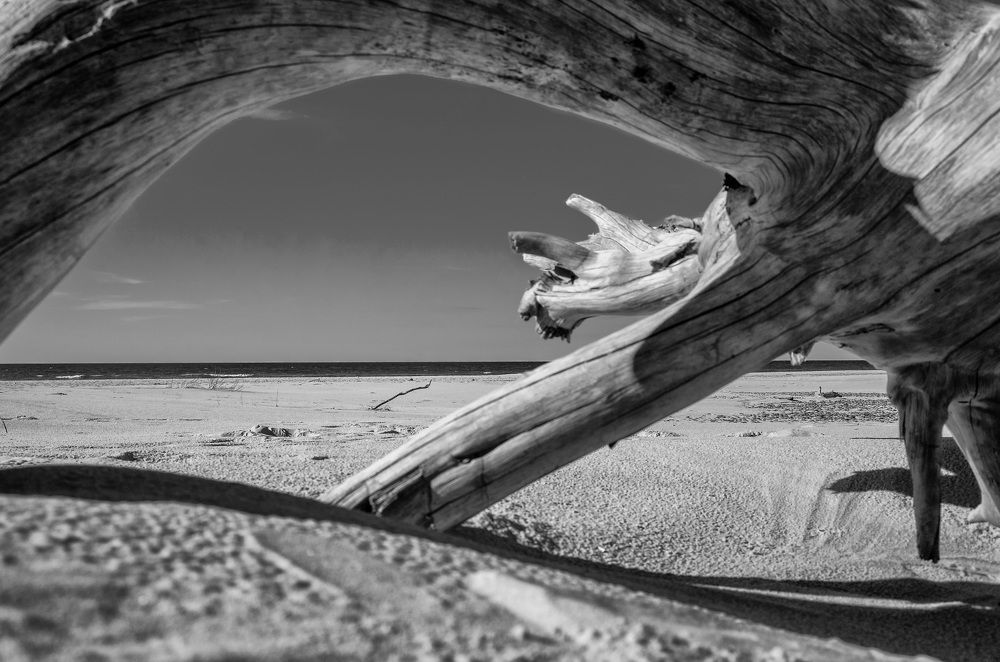 Photograph by Klejnot Grzegorz