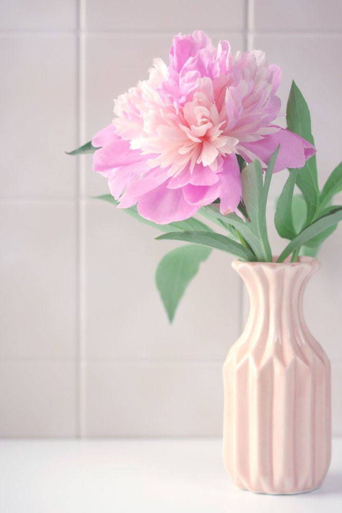 Photograph by Елизавета