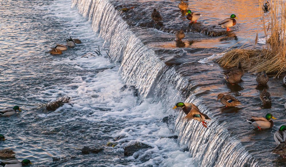 Полет над водопадом