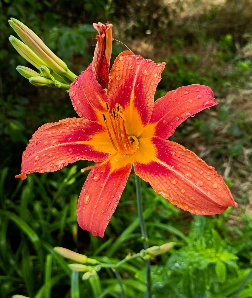 Photograph by Олег Башкуров