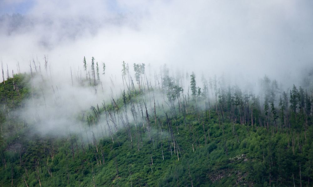 Photograph by Ксения Никифорова