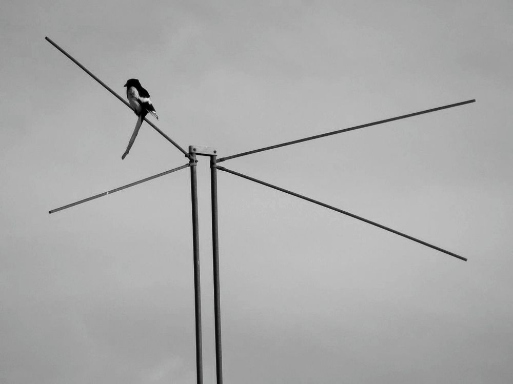 Photograph by Маркова Даша