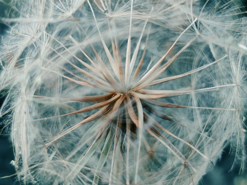 Photograph by Екатерина Харитонова