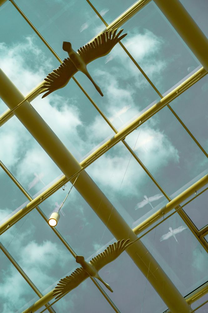 Photograph by Александр Кочергин