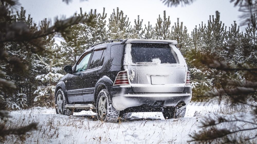 Photograph by Евгений Кузьмин