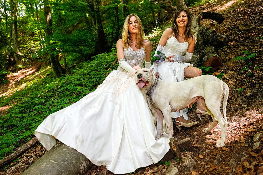 Photograph by Plamen