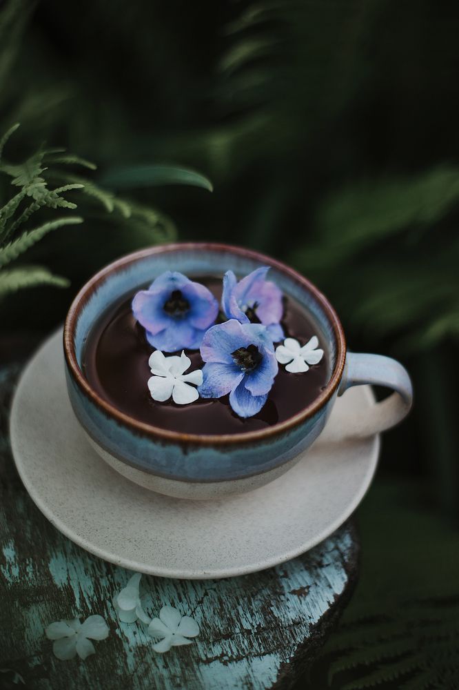 Фотография автора Анна Беляева