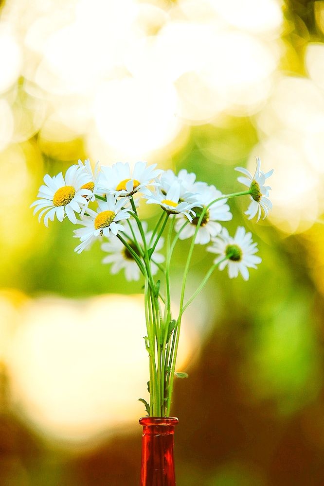 Photograph by Анжелика Сидорова