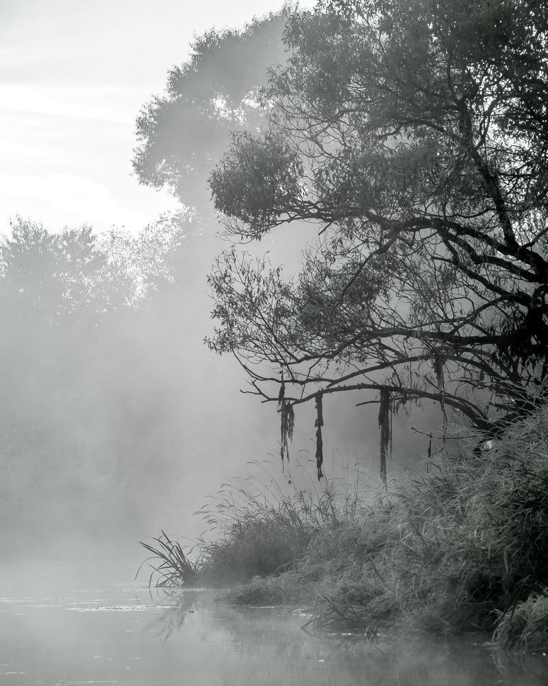 Photograph by Сергей Богданов