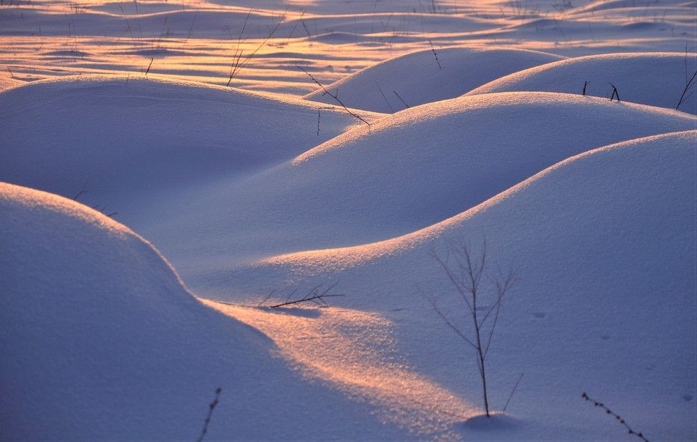 Photograph by Ольга Струкалина