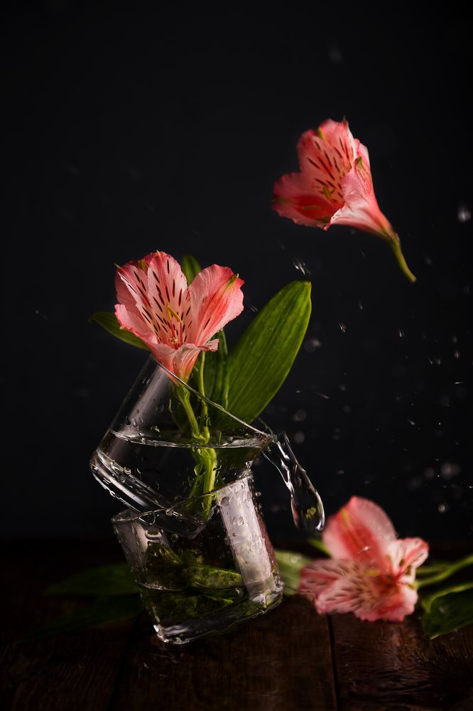 Photograph by Нигина Назарова