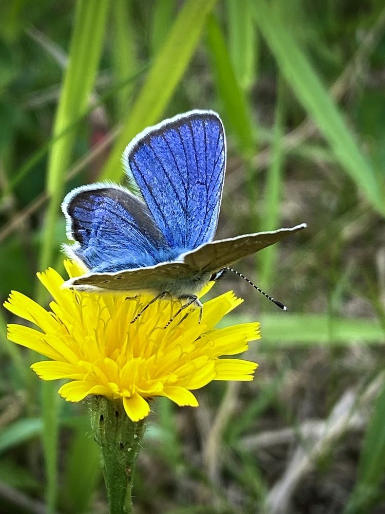 Photograph by Оксана Лупекина