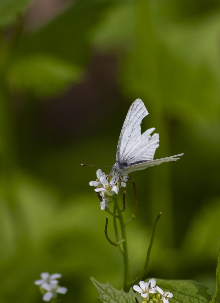 Photograph by Усатый Александр