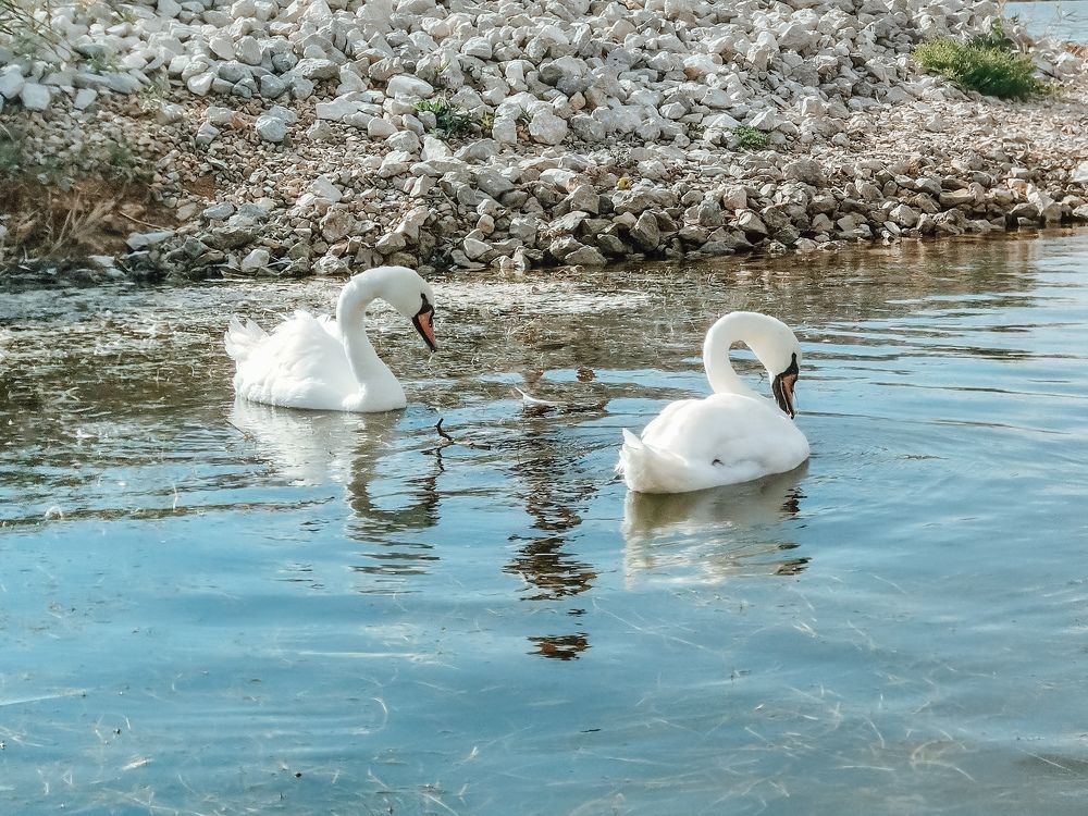 Фотография автора OXANA MARSOVA