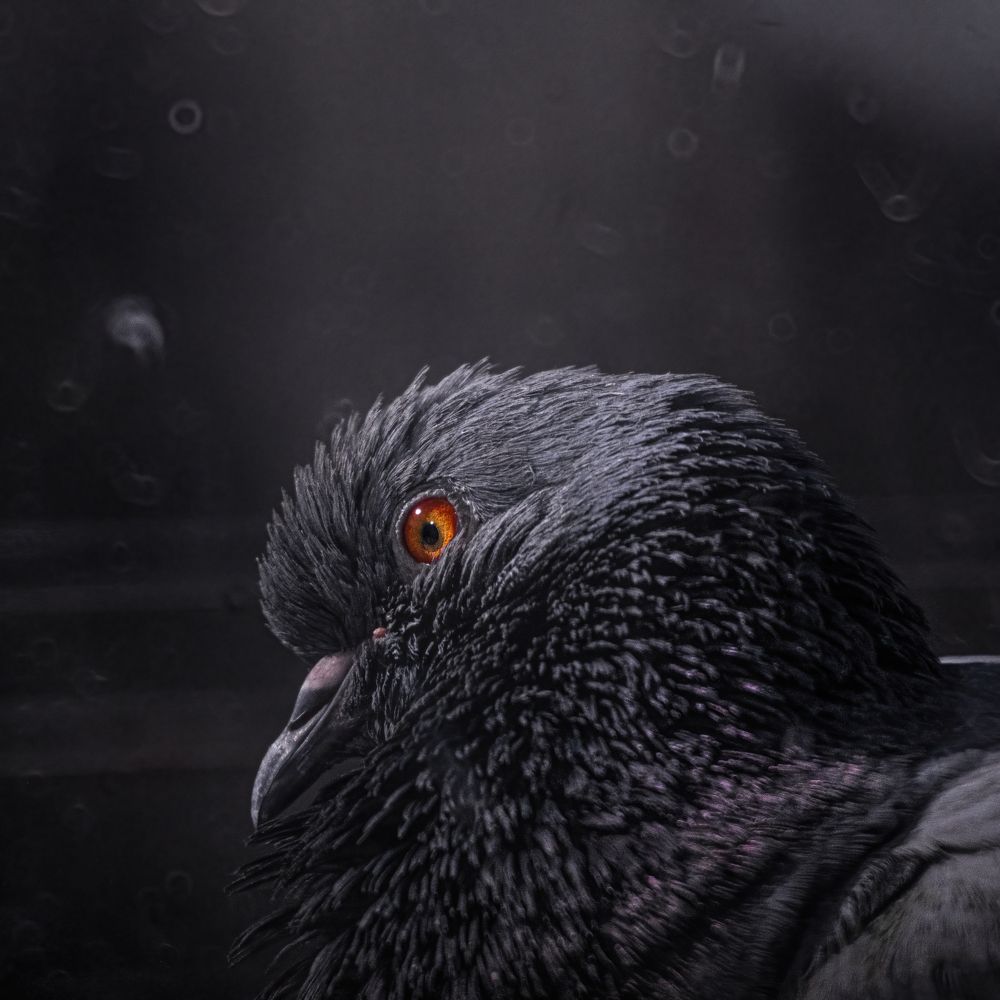 Photograph by Ислам Мирсаитов