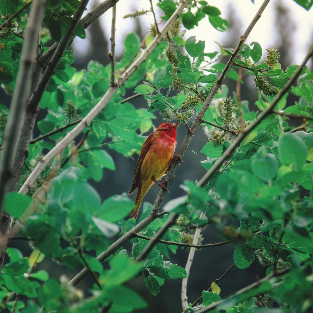 Photograph by Ислам Мирсаитов