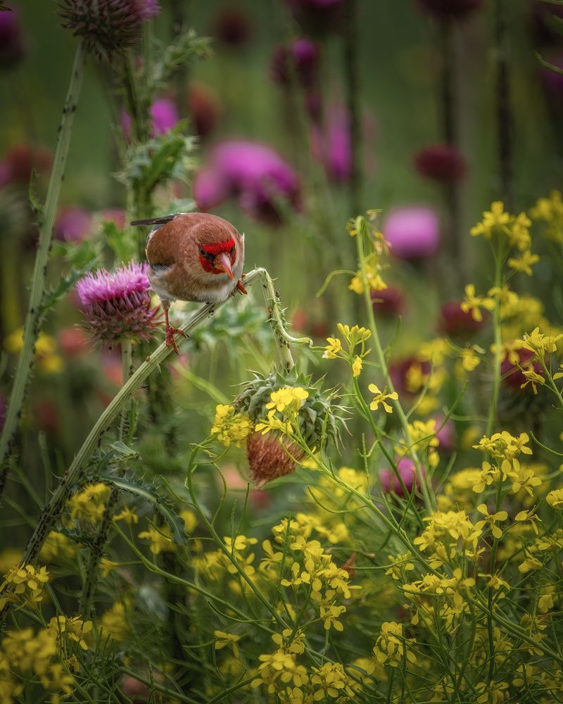 Photograph by Ислам Мирсаитов