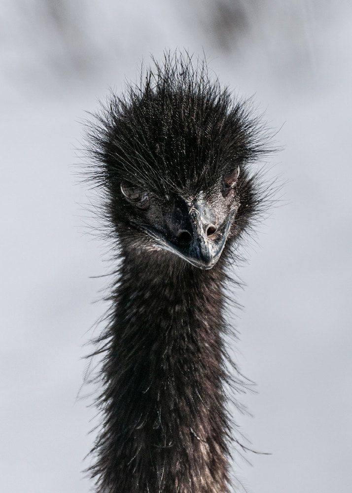 Photograph by Марина Короткова