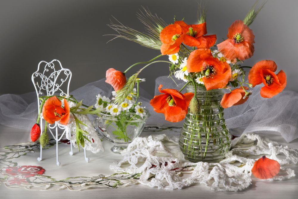 Photograph by Шруб (Беляева) Татьяна