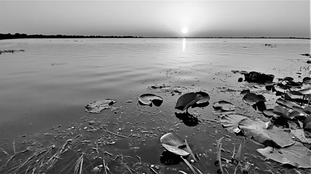 Photograph by Canache Gheorghe