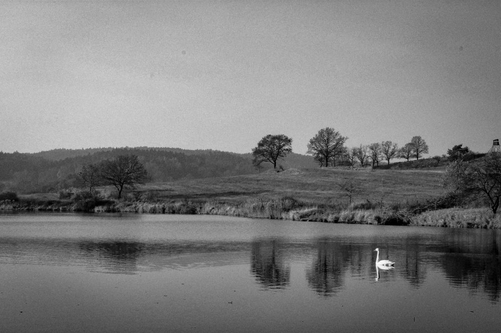 Photograph by Евгения Д