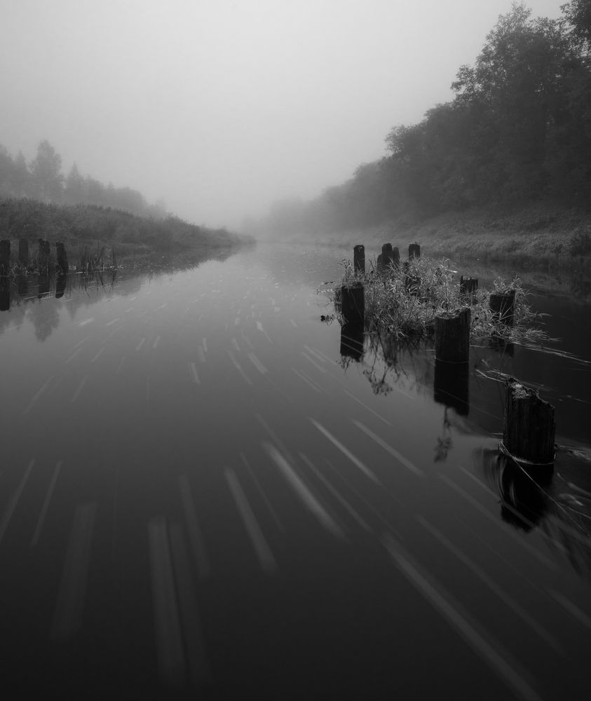 Photograph by Роман Фабричный