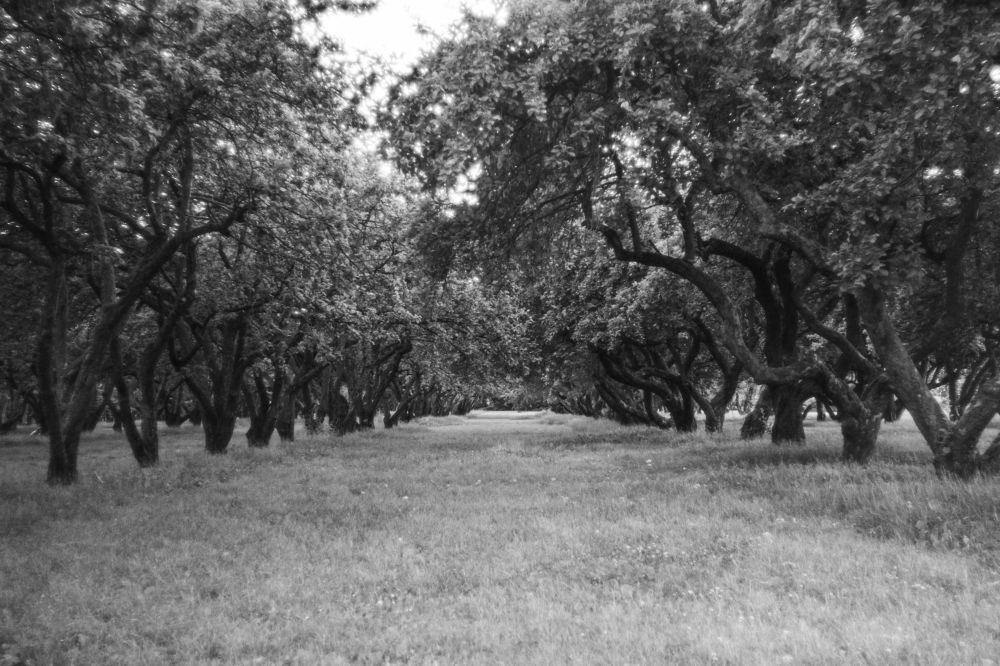 Photograph by Andrew Дёмин