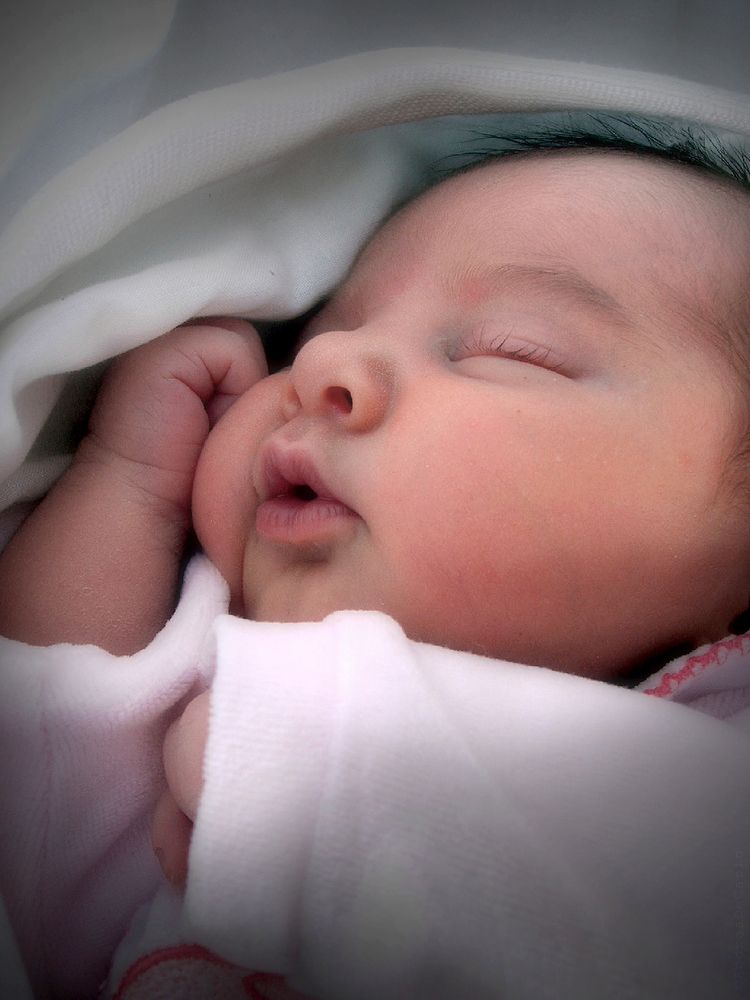 Фотография автора Andrea De Carlo