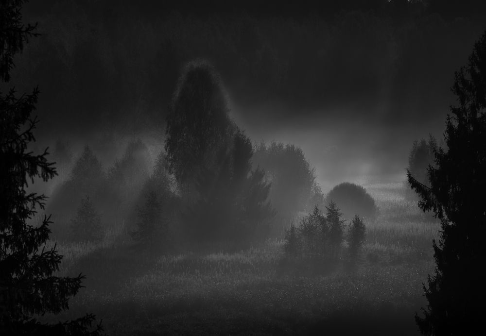 Photograph by Роман Фабричный