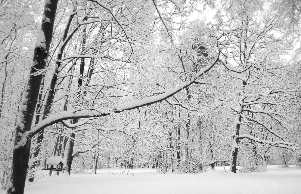 Photograph by Вадим Беляев