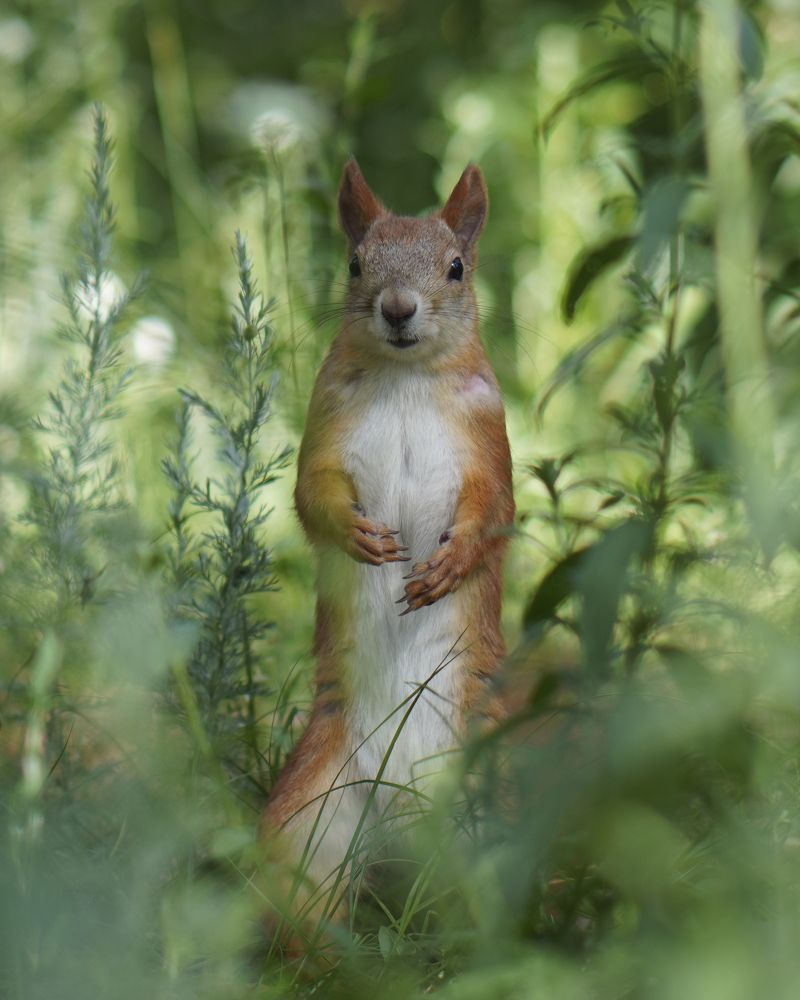 Фотография автора Сергей Затямин