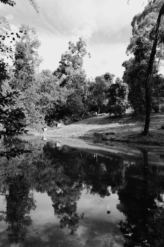 Photograph by Егор Колягин