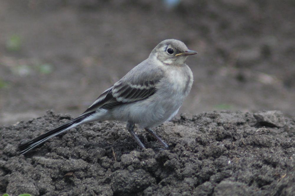 Photograph by Валерий Безбородов