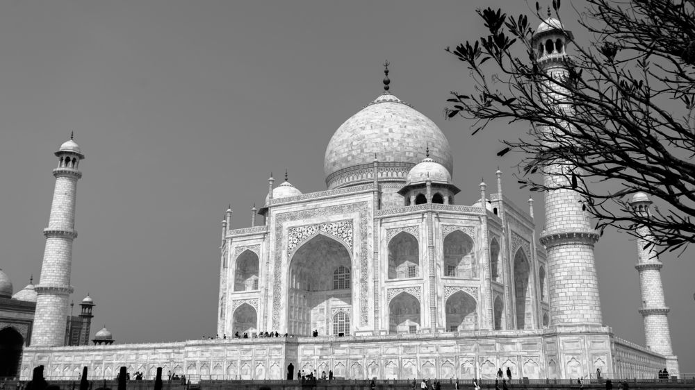 Photograph by TARUN KUMAR