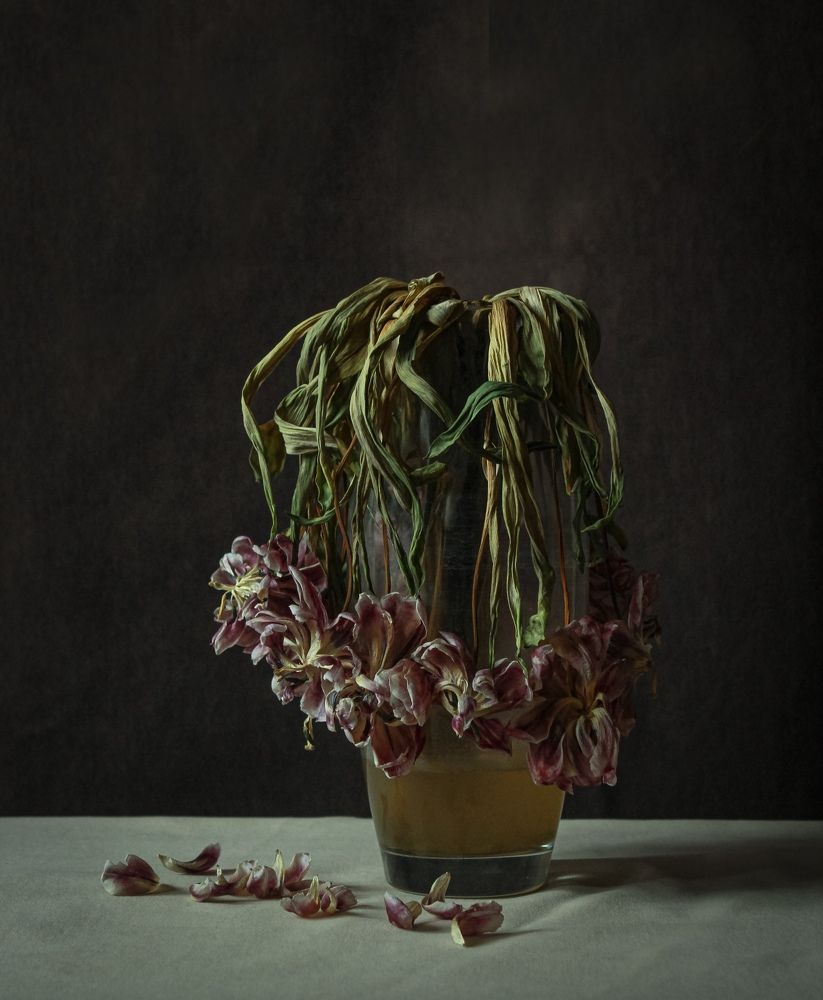 Photograph by Анастасия Медовник