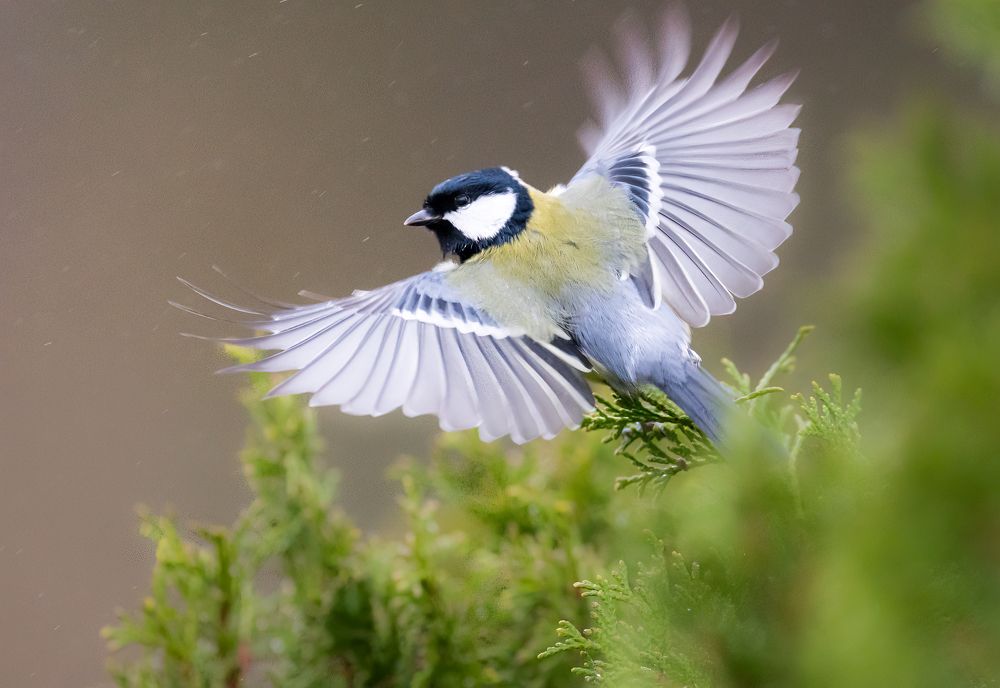 Photograph by Valerijs Bukovskis