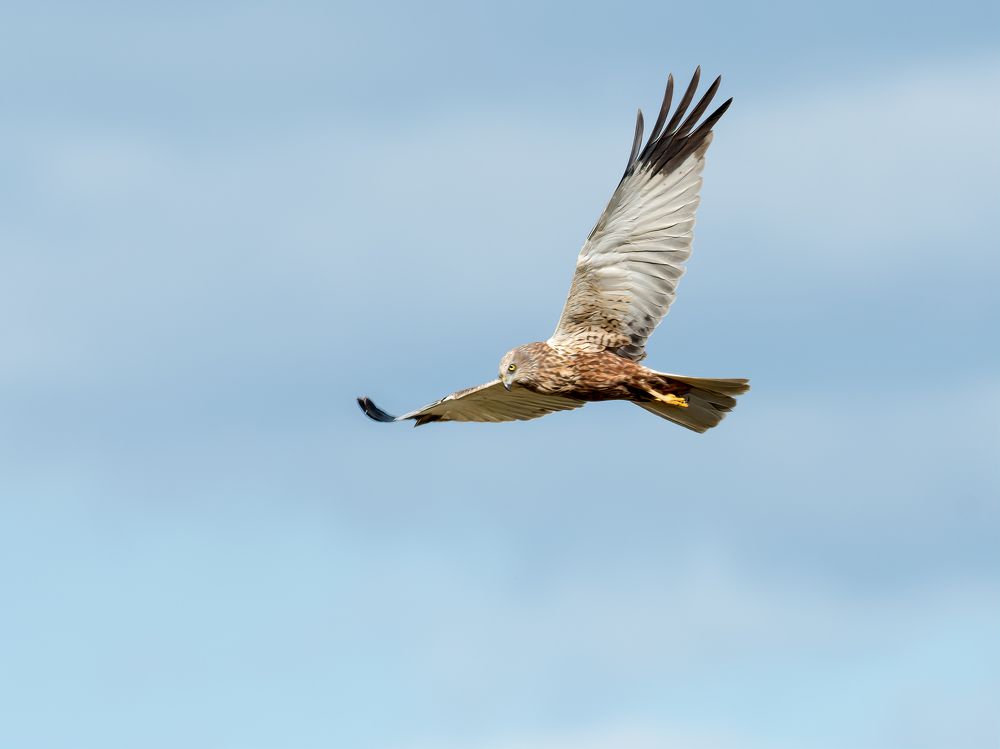 Photograph by Valerijs Bukovskis