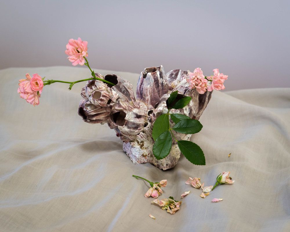 Photograph by Юрий Можейко