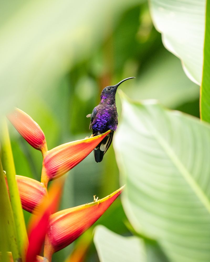 Photograph by Timur Korotkov