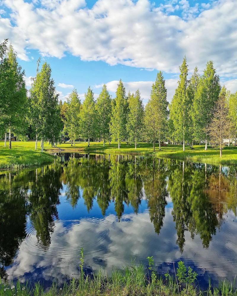 Photograph by Юрий Биков