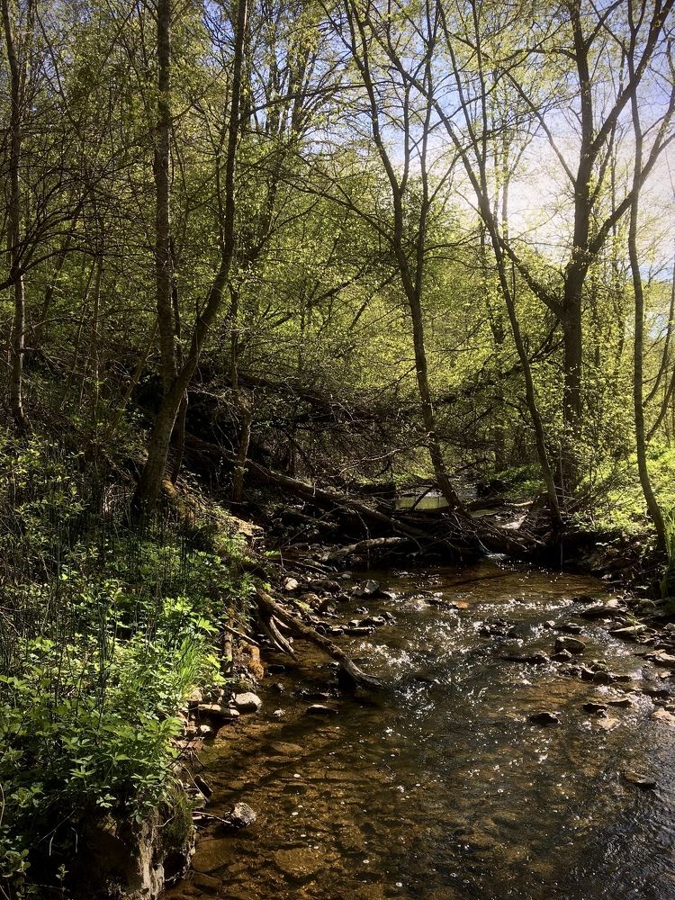 Photograph by Лев Марков