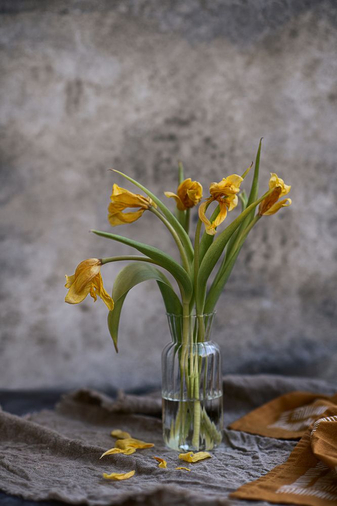 Photograph by Юлия Борт