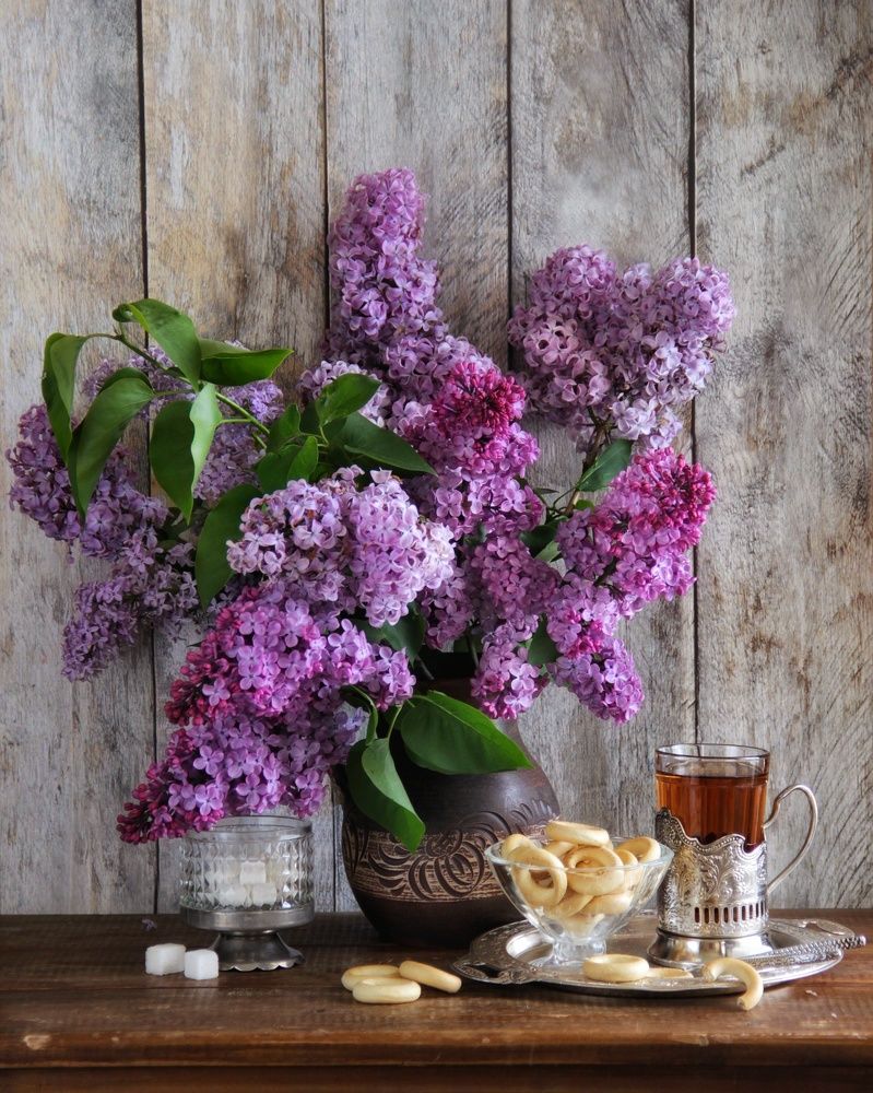 Фотография автора Елена Доянова