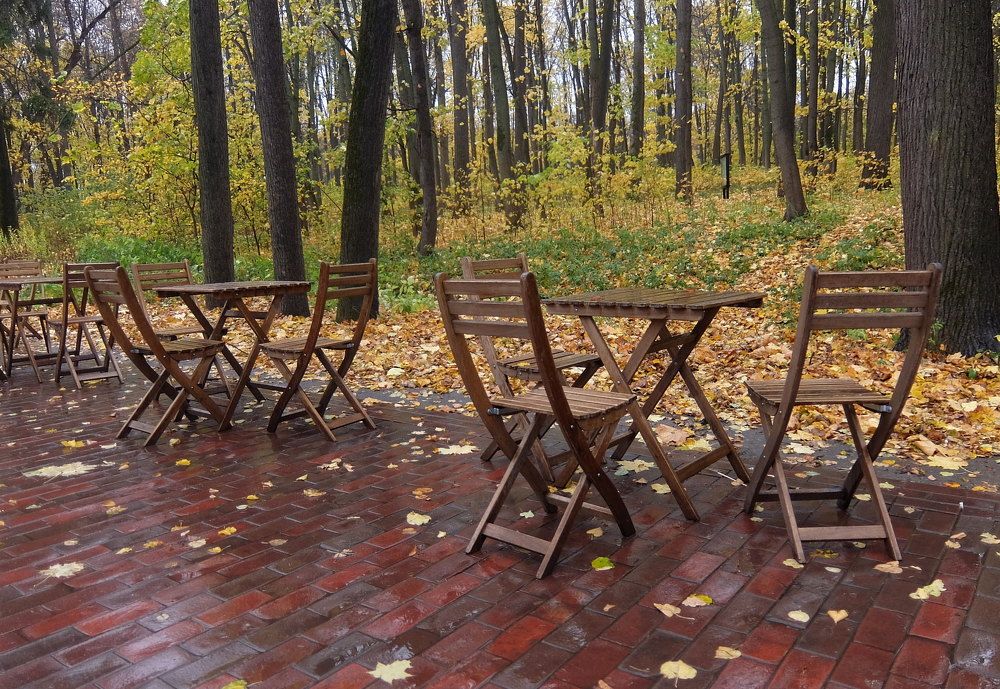 Photograph by Любовь Реутова