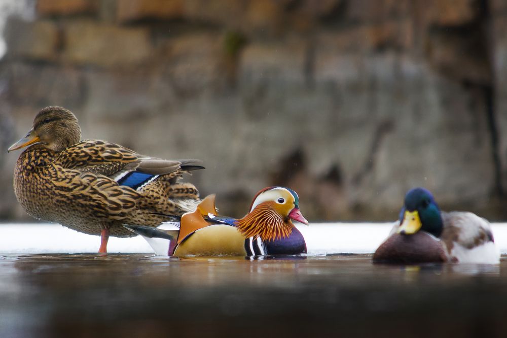 Photograph by Сергей К.