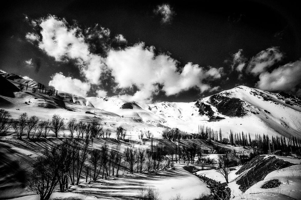 Photograph by DAMOUN POURNEMATI